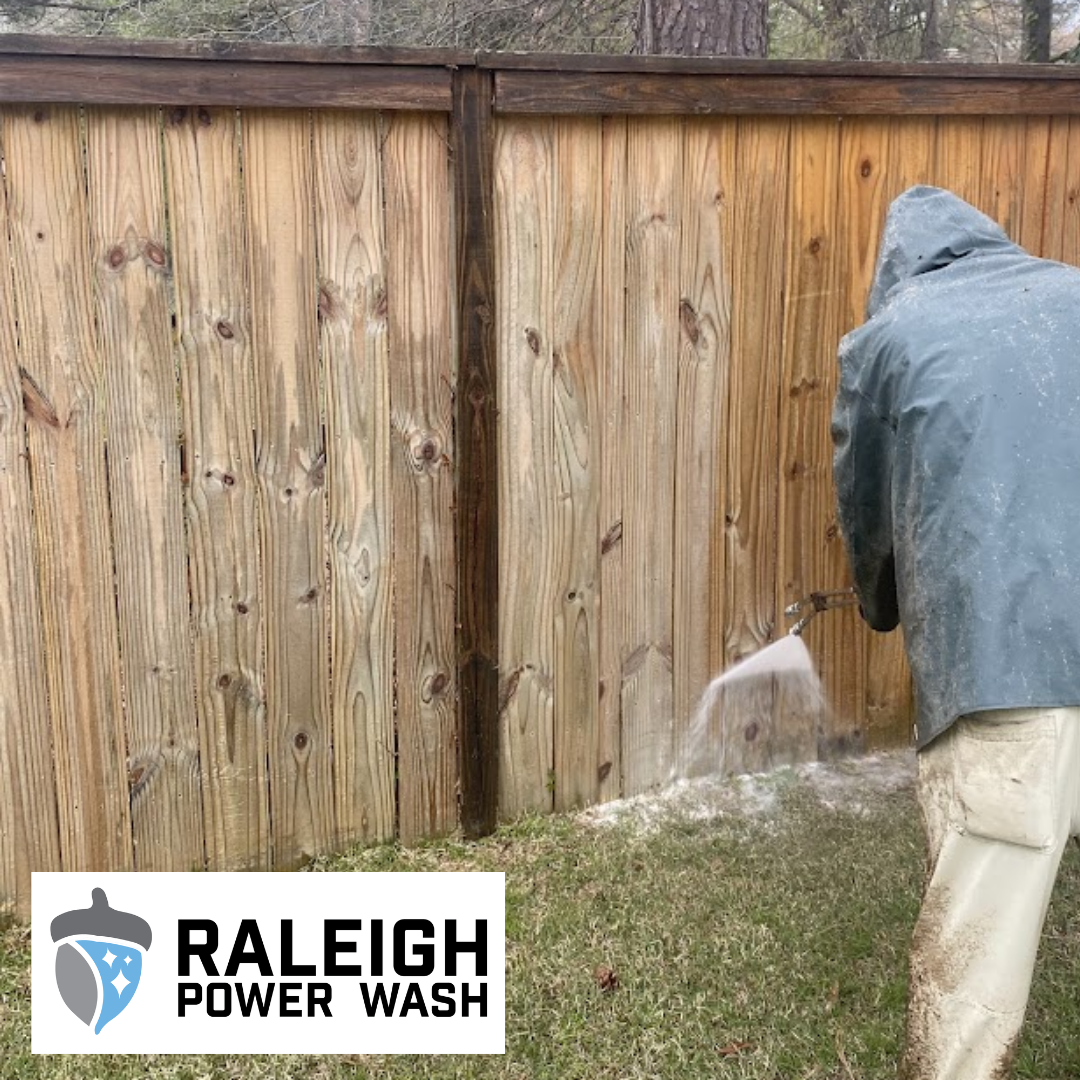 Fence Cleaning